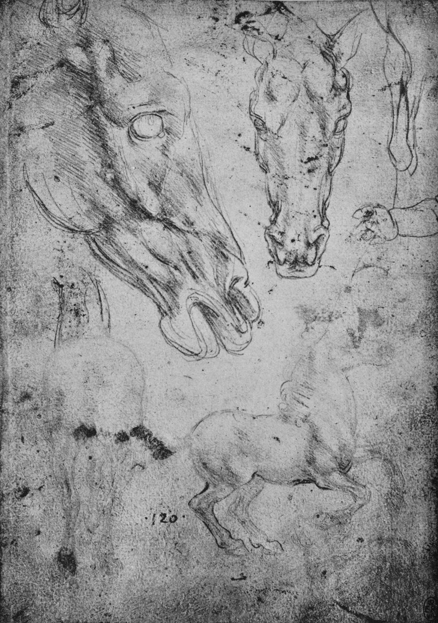 Studien von Pferden und Pferdeköpfen, um 1480, 1945 von Leonardo da Vinci