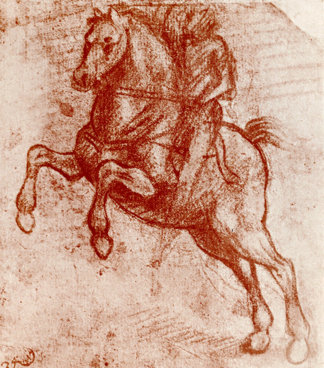 Studie eines Ritters, von Leonardo Da Vinci, 1913 von Leonardo da Vinci