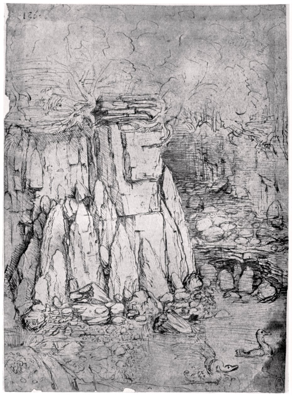 Studie einer felsigen Höhle mit Enten, 1482-1485, 1954 von Leonardo da Vinci