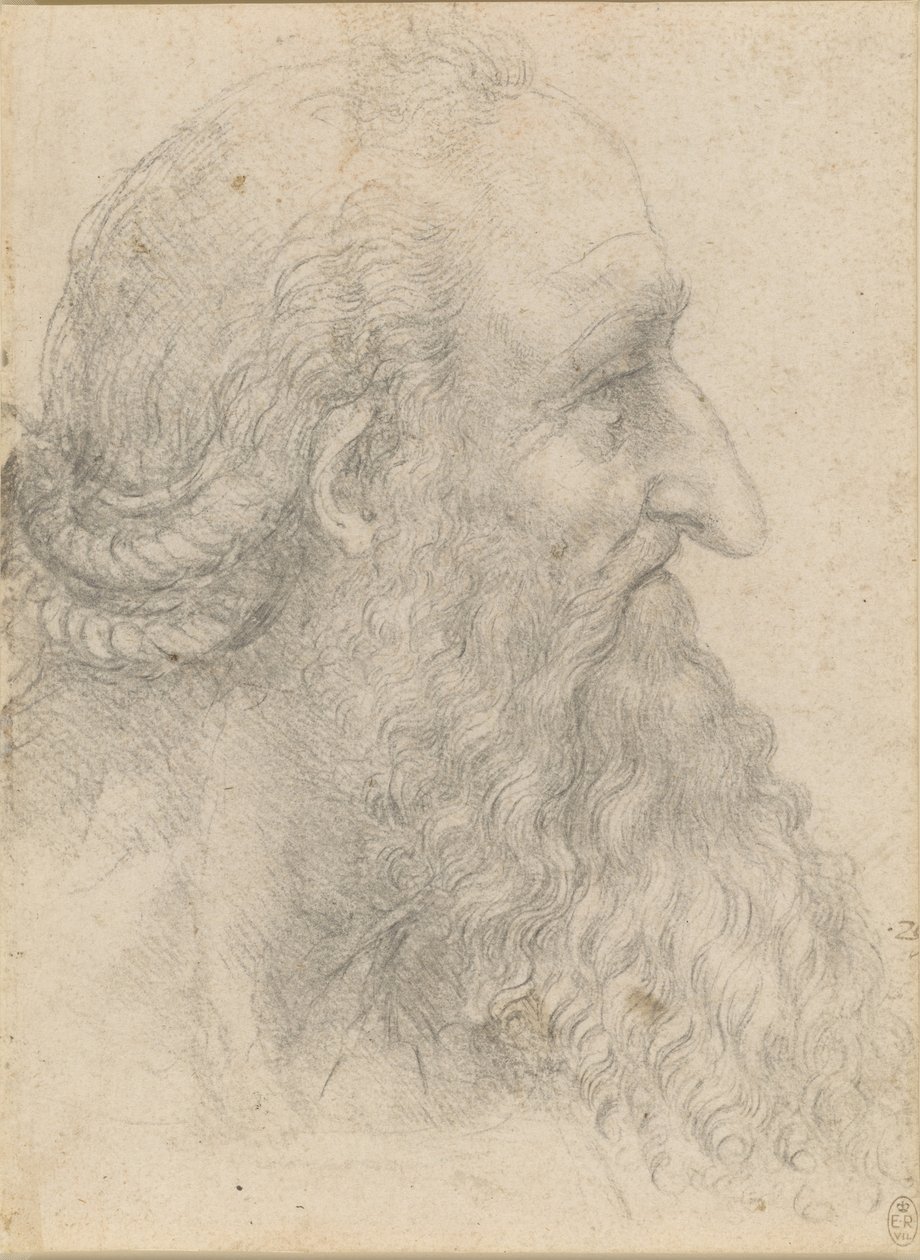 Der Kopf eines alten bärtigen Mannes, ca. 1517 von Leonardo da Vinci