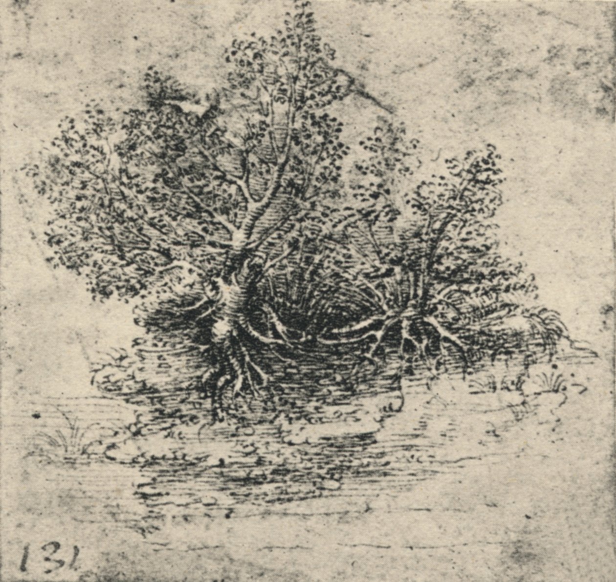 Zwei Bäume am Ufer eines Baches, ca. 1480 von Leonardo da Vinci