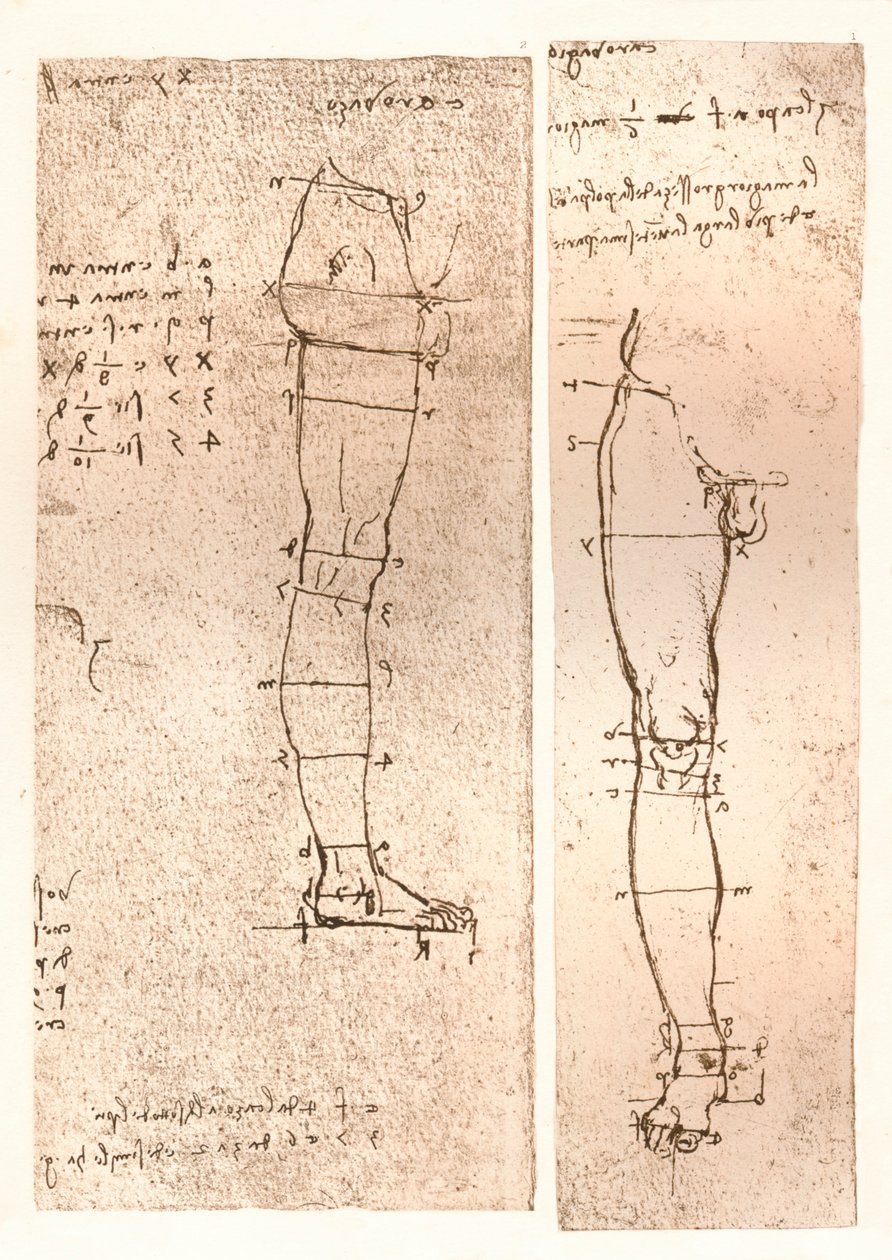 Zwei Zeichnungen zur Theorie der Proportionen der menschlichen Figur, 1883 von Leonardo da Vinci