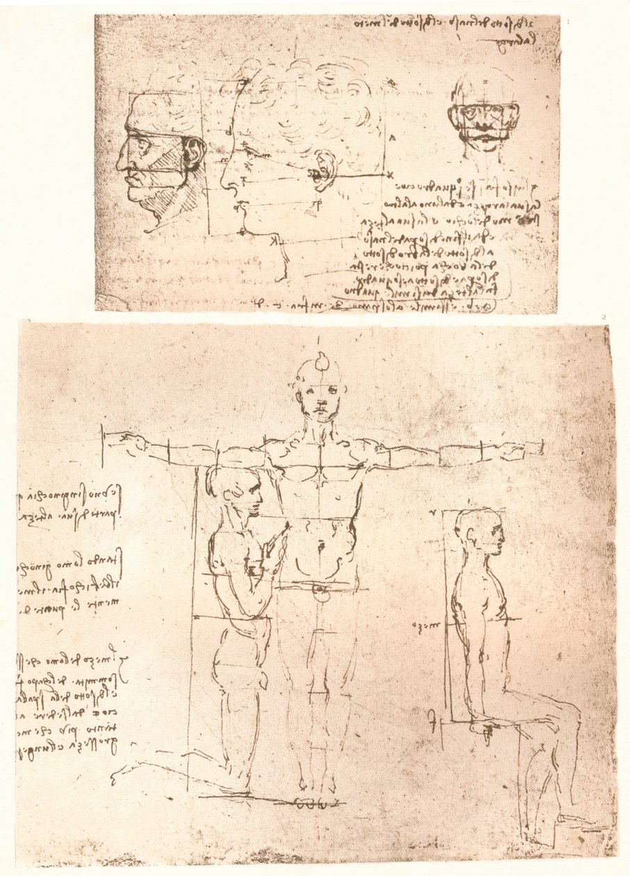 Zwei Zeichnungen zur Theorie der Proportionen der menschlichen Figur von Leonardo da Vinci
