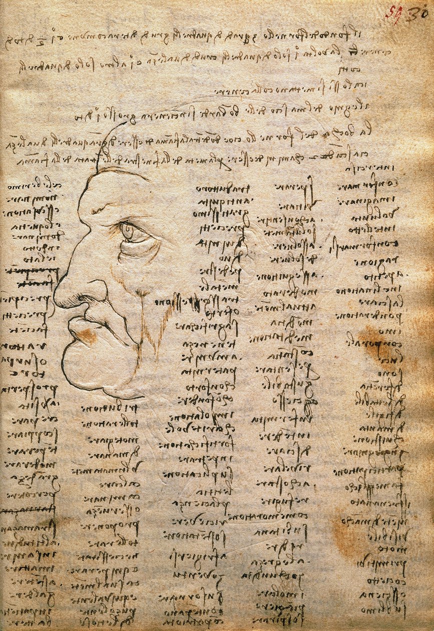 Wortliste und männliches Profil, aus dem Codex Trivulzianus von Leonardo da Vinci