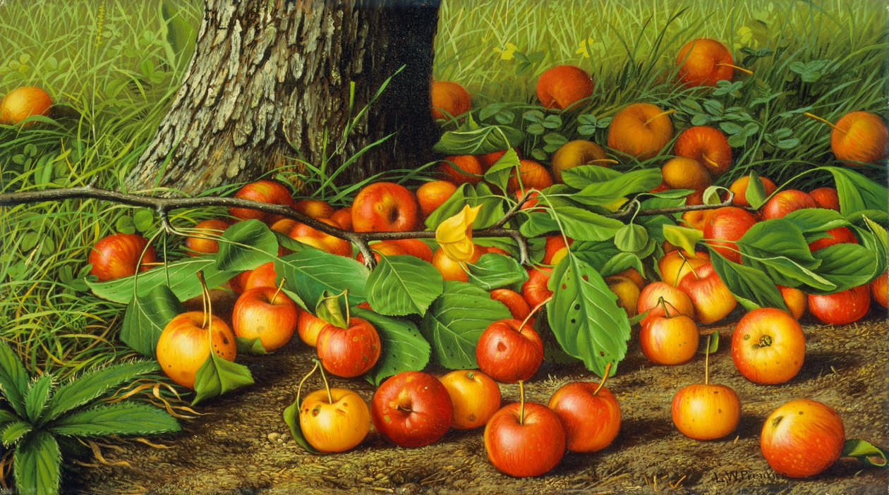 Stillleben mit Äpfeln an einem Baum von Levi Wells Prentice