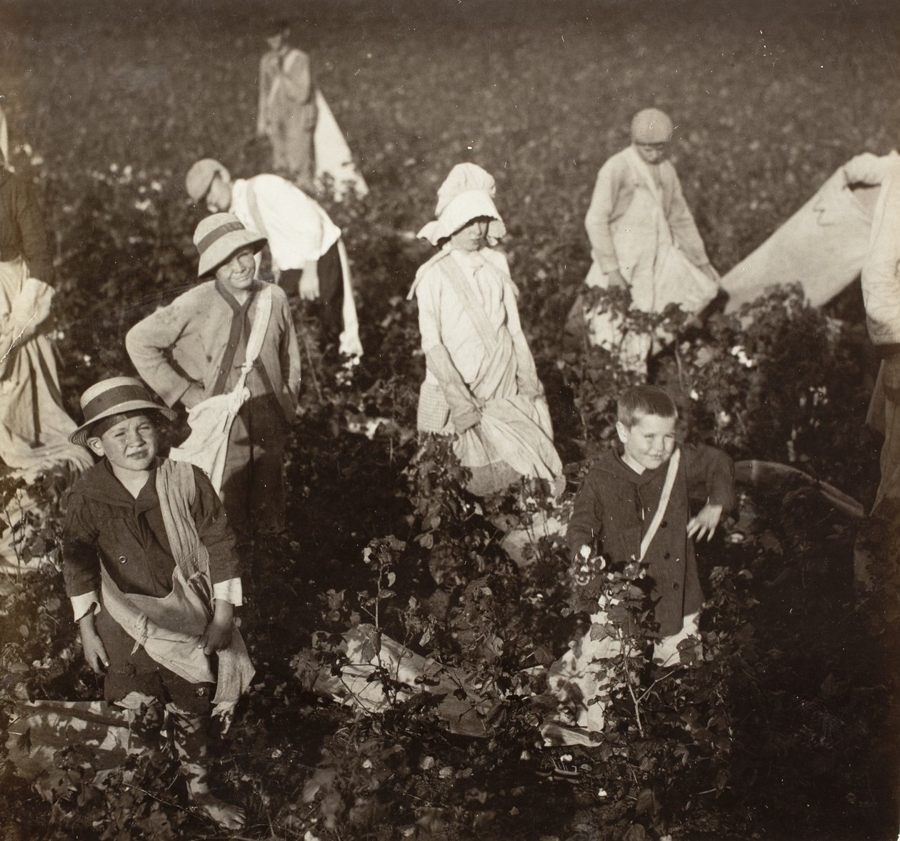 In der Nähe von Waxahachie, Texas von Lewis Wickes Hine