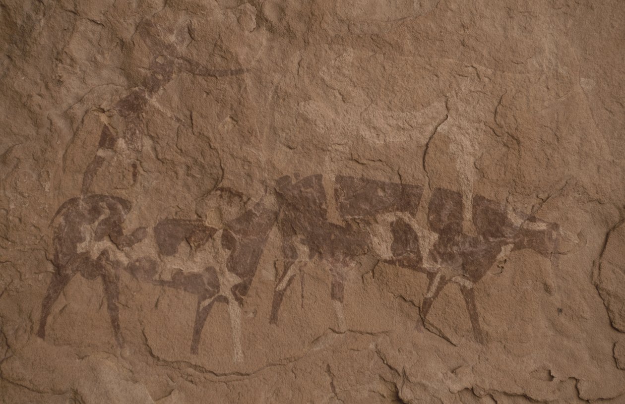 Rinder und menschliche Figuren, Höhlenmalerei, Oued in Djeran, in der Nähe von Djanet, Tassili n