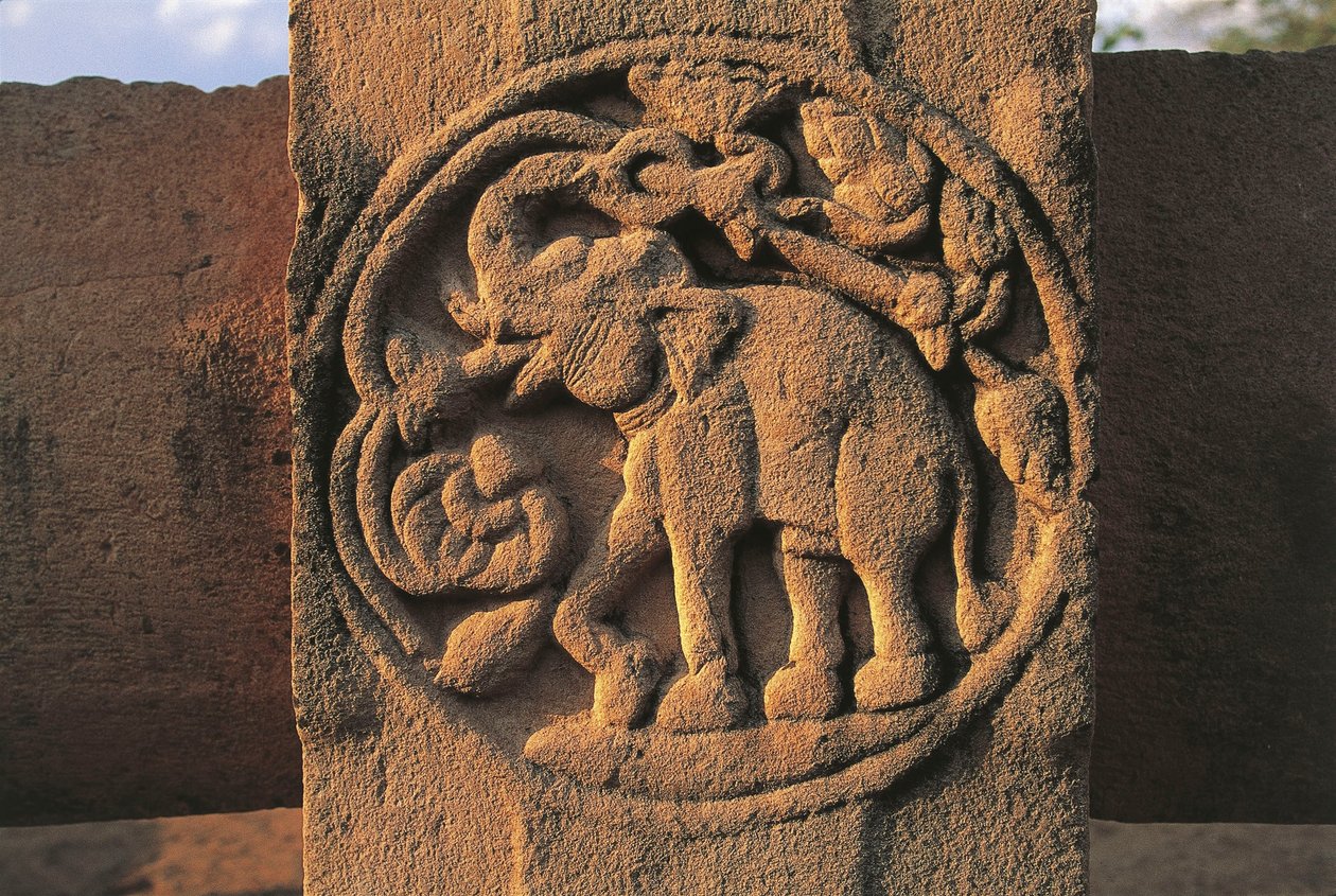 Elefant, Relief auf Stupa Nr. 2, Sanchi (UNESCO-Weltkulturerbe) von Unbekannt Unbekannt