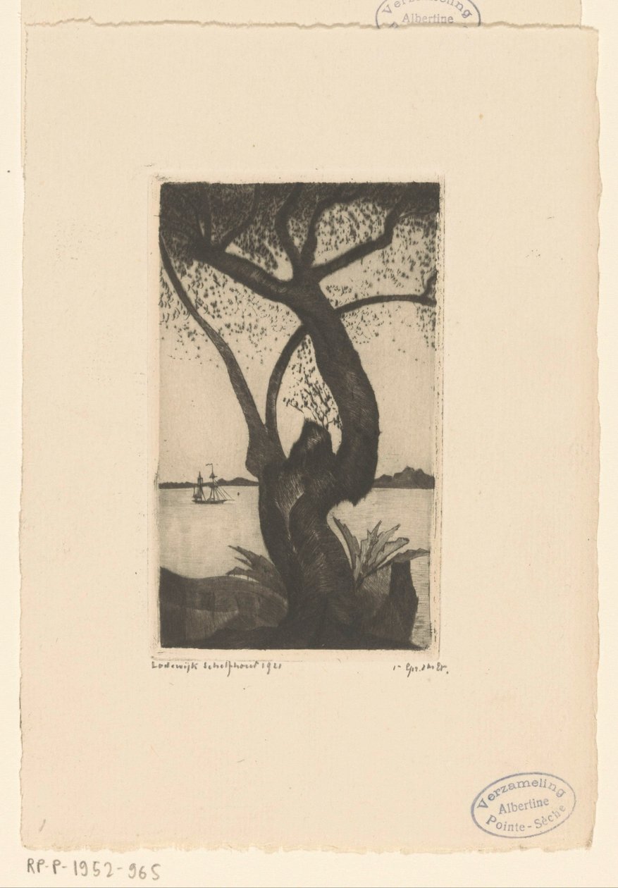 Olivenbaum auf Korsika von Lodewijk Schelfhout (signed by artist)