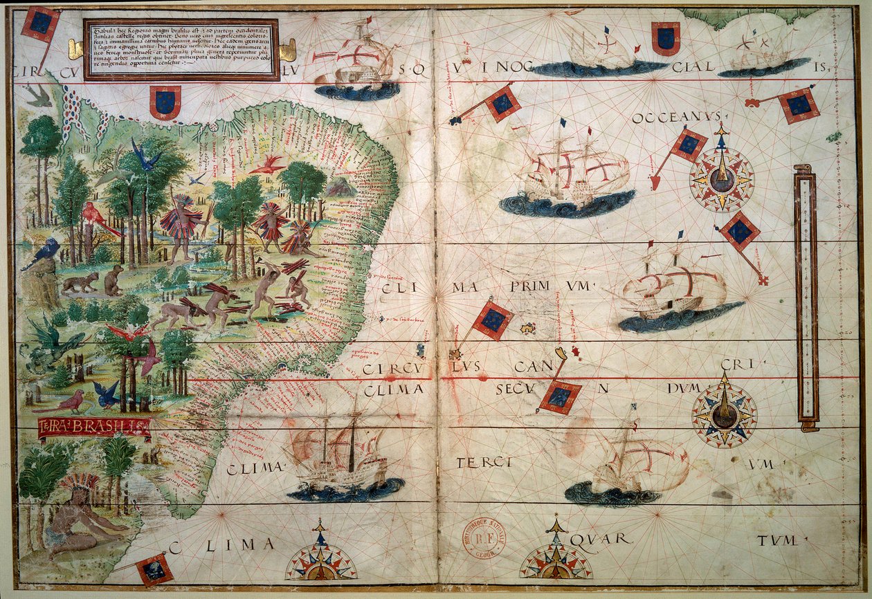 Hydrographische Karte von Brasilien - Manuskript illuminiert „Portugiesischer Nautischer Atlas“ von Kartograph Loppo Homem 1519 Paris. B.N. von Lopo Homem