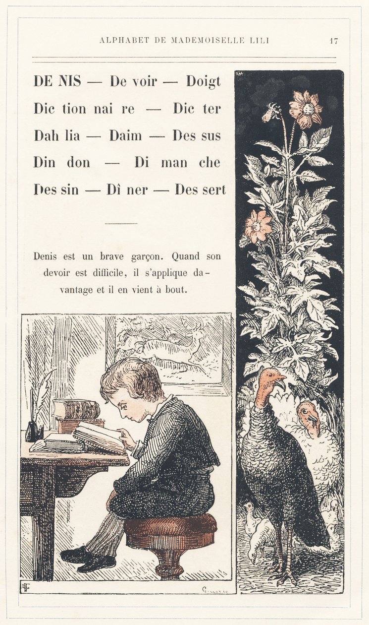 Denis, Pflicht, Finger, Wörterbuch, Diktieren, Dahlie, Wildleder, Spitze, Truthahn, Sonntag, Zeichnung, Abendessen, Dessert, Seite 17 - Alphabet von Mademoiselle Lili, von L. Froelich und von einem Vater (Hetzel selbst). Bibliotheque & Magasin d