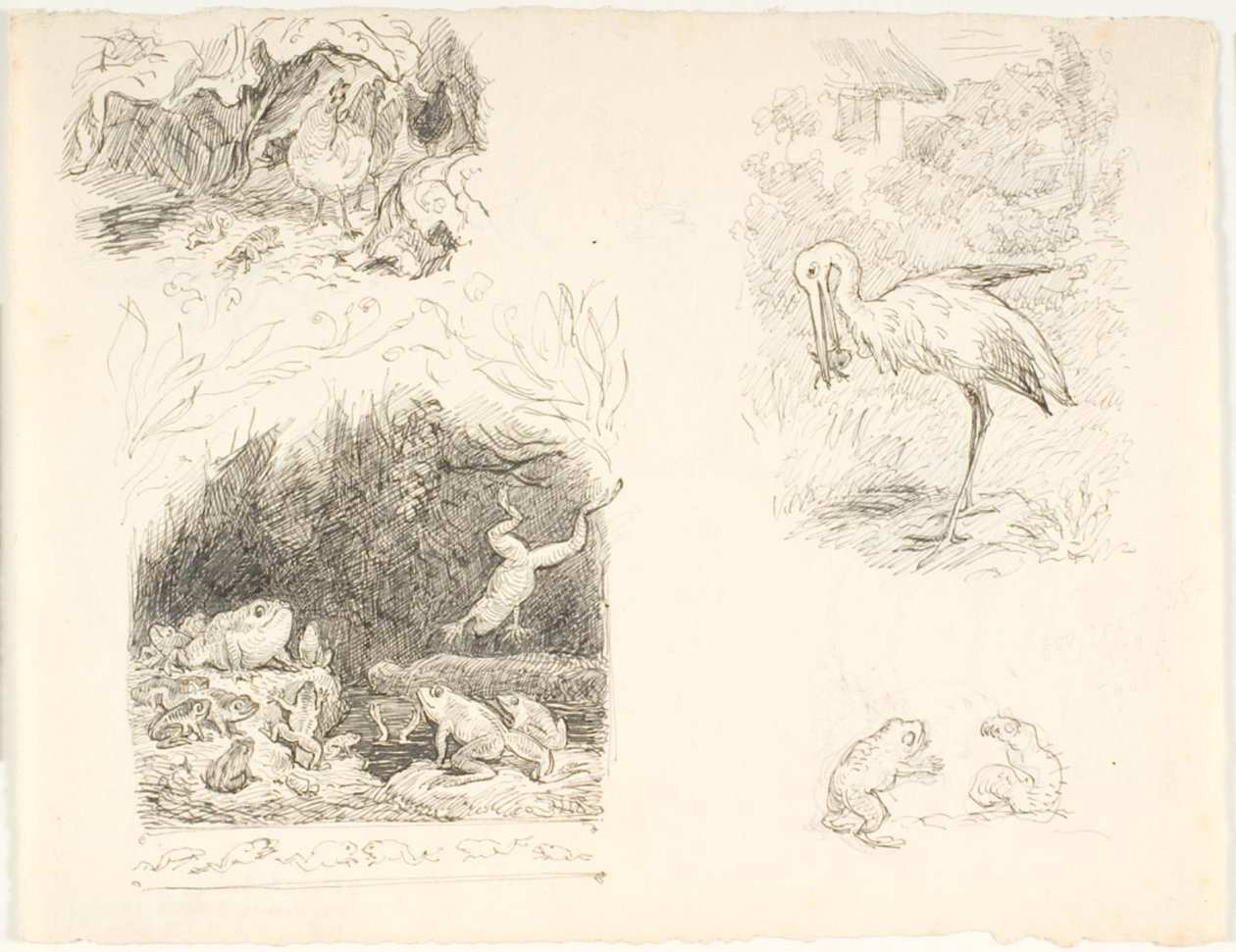 Vier Entwürfe für Illustrationen zu Die Kröte, H.C. Andersens Neue Märchen und Geschichten von Lorenz Frølich