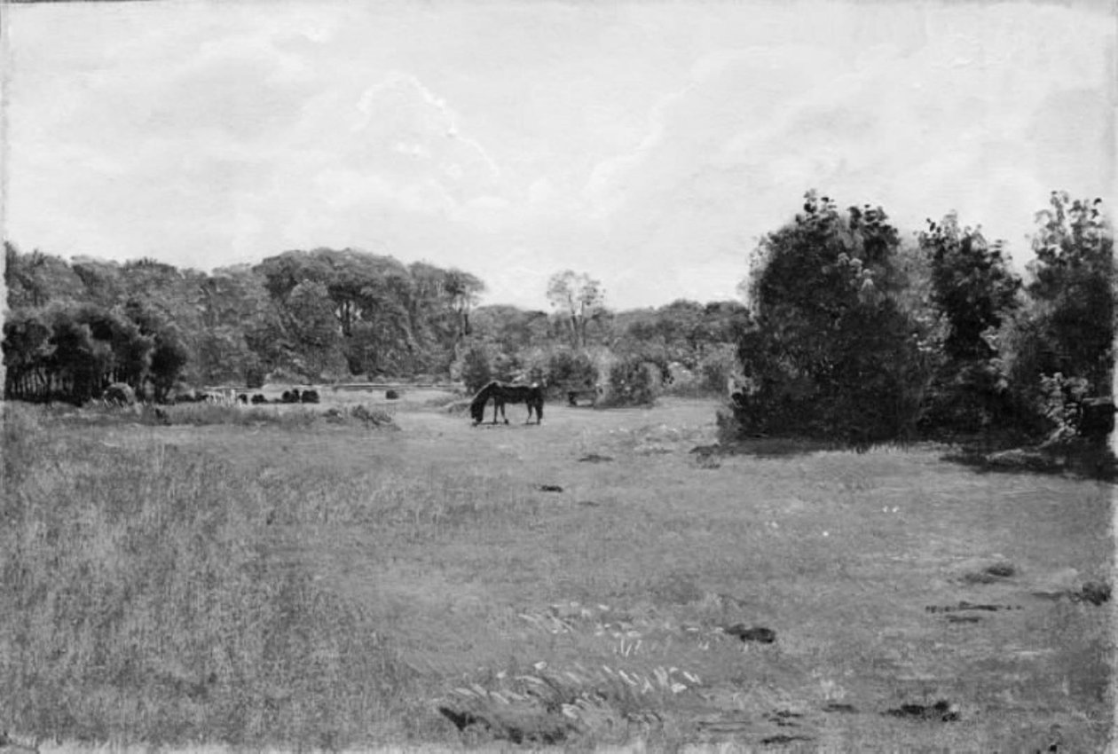 Wiese mit einem weidenden schwarzen Pferd von Lorenz Frølich