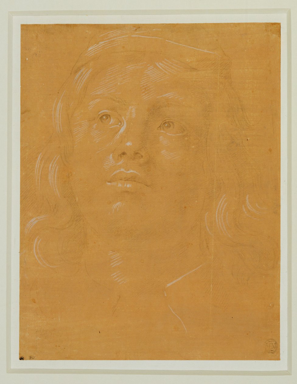 Porträt eines jungen Mannes, Frontalansicht, nach oben blickend von Lorenzo di Credi