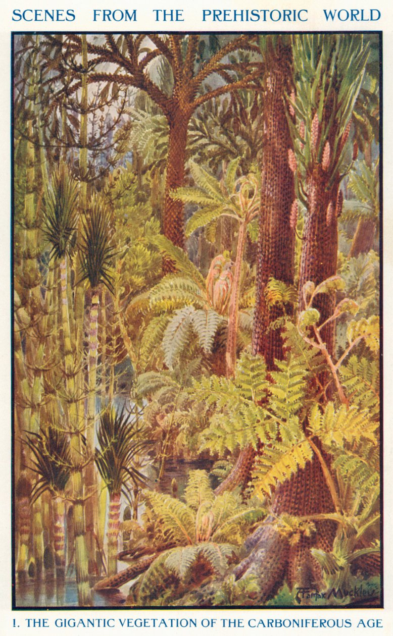 Die gigantische Vegetation des Karbonzeitalters von Louis Fairfax Muckley