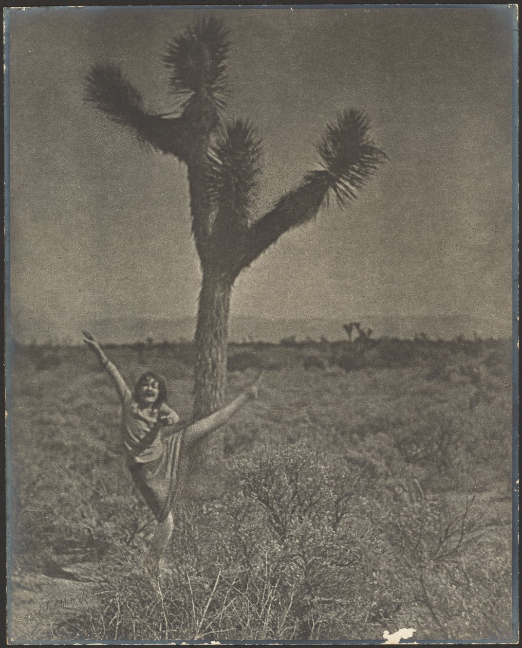 Tänzerin am Joshua Tree von Louis Fleckenstein