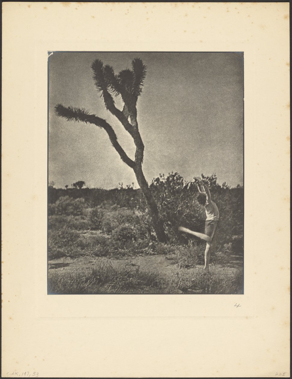 Tänzerin am Joshua Tree von Louis Fleckenstein