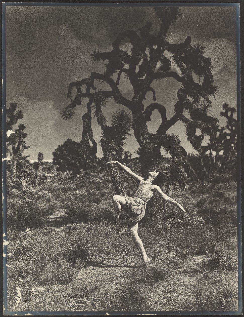 Inspiration des Tanzes von Louis Fleckenstein