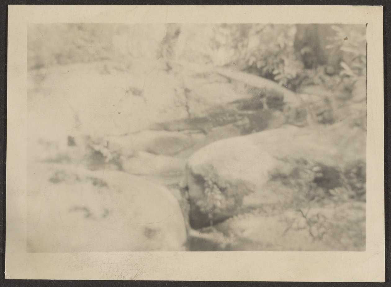 Landschaft von Louis Fleckenstein