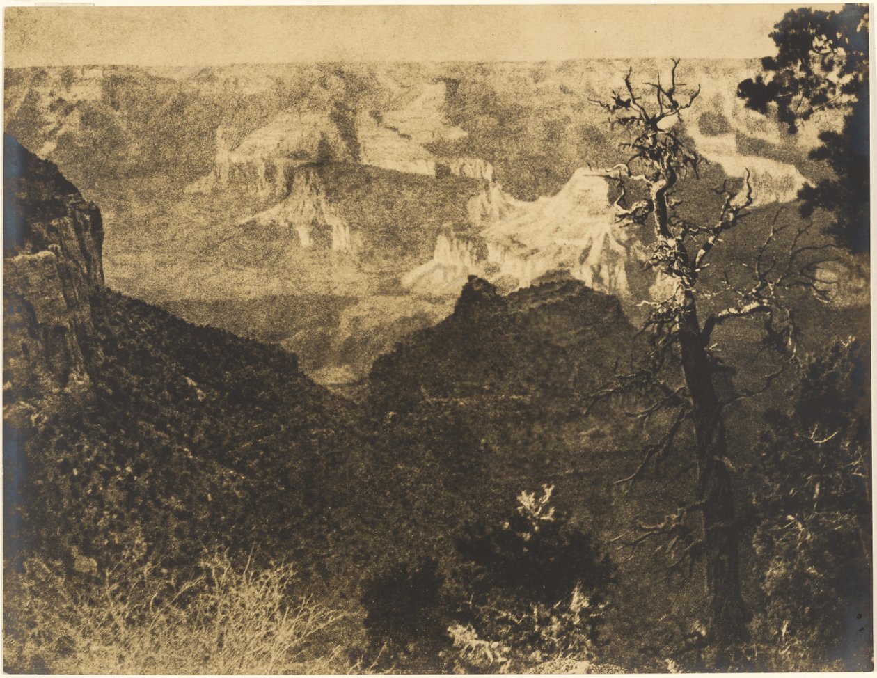 [Gebirgige Landschaft mit kahlem Baum] von Louis Fleckenstein