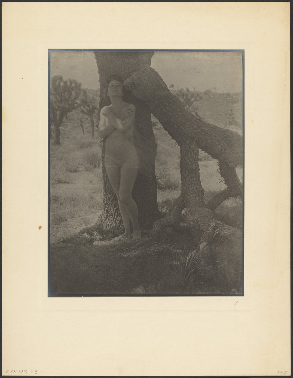 Geist des Joshua von Louis Fleckenstein