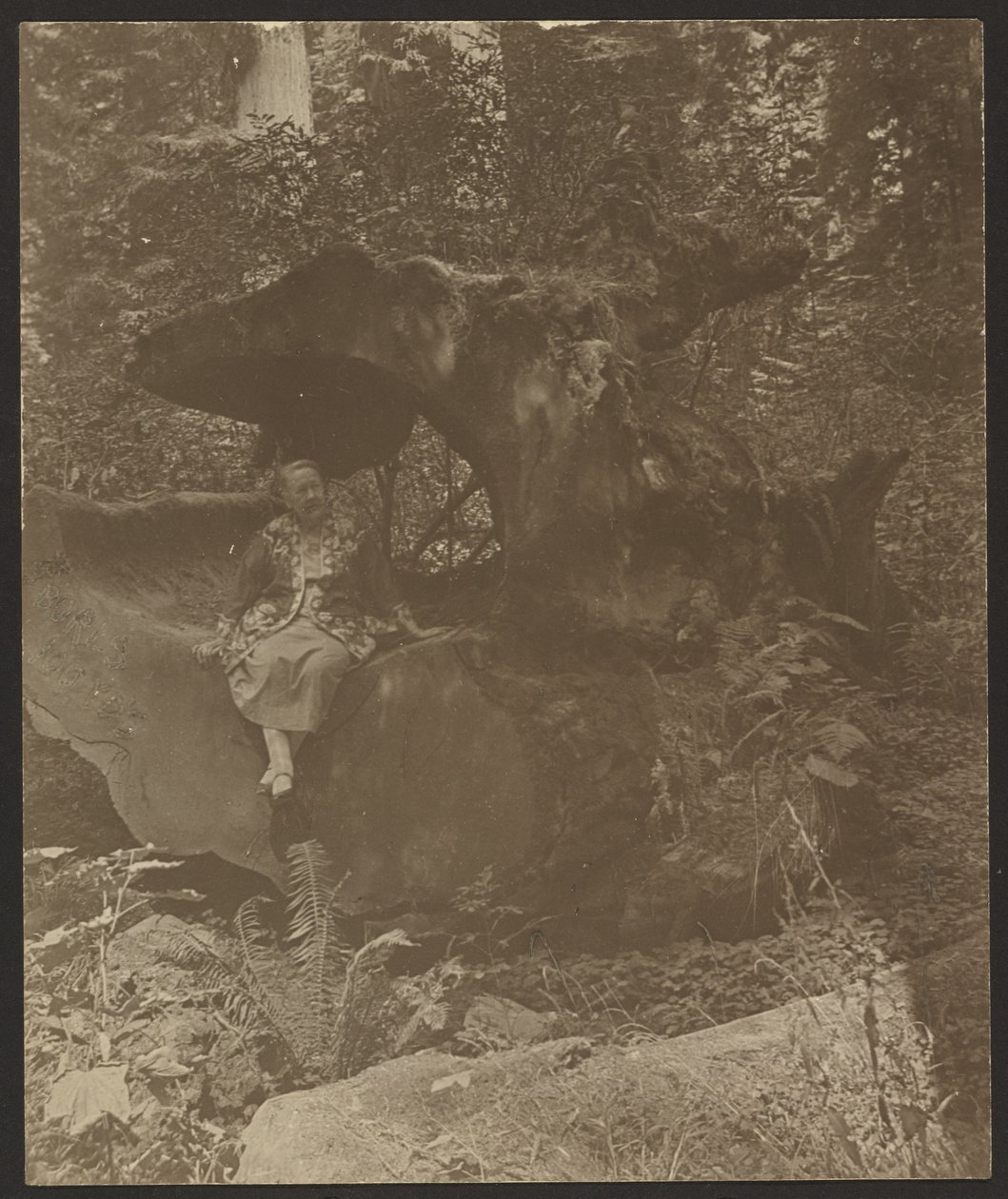 Frau, die auf Felsen sitzt, möglicherweise Frau Fleckenstein von Louis Fleckenstein