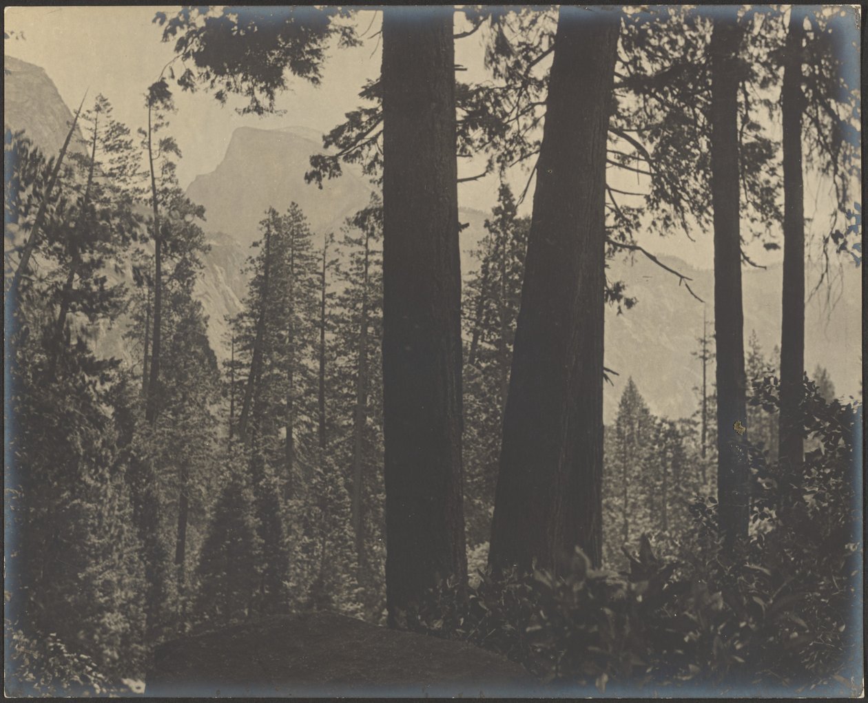 [Waldige Landschaft] von Louis Fleckenstein