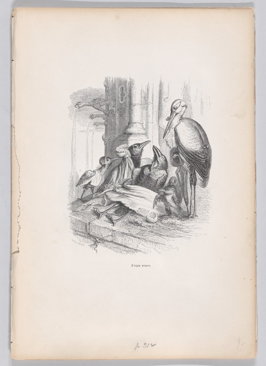 Ich war eine Witwe aus Szenen aus dem privaten und öffentlichen Leben der Tiere von Louis Henri Brévière