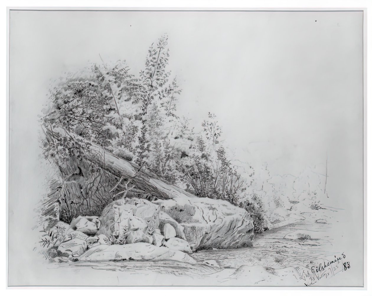 Gefallener Baum, Keene Valley von Louis Michel Eilshemius
