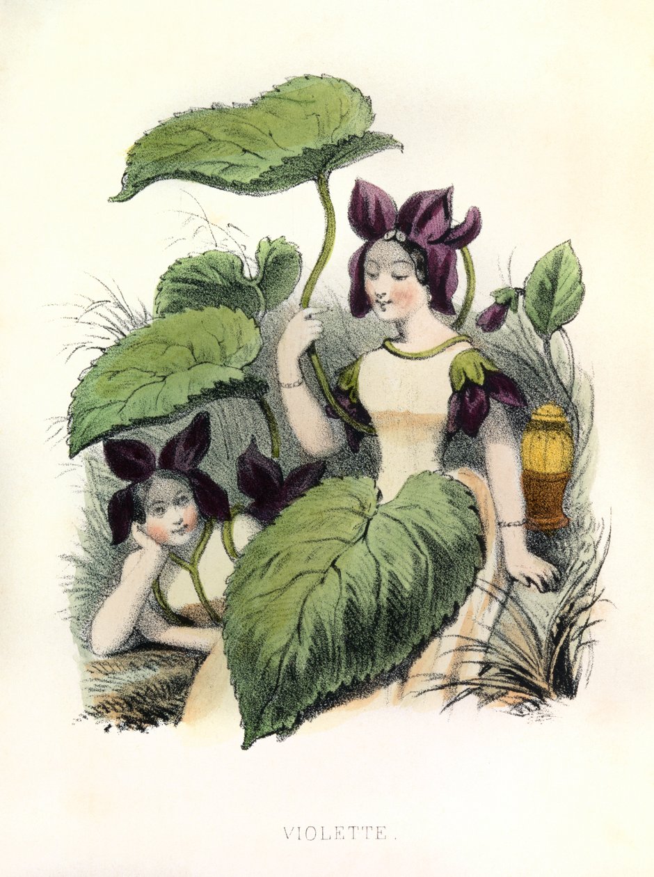 Allegorie, das Veilchen von Louis Simon (1810-1870) Lassalle