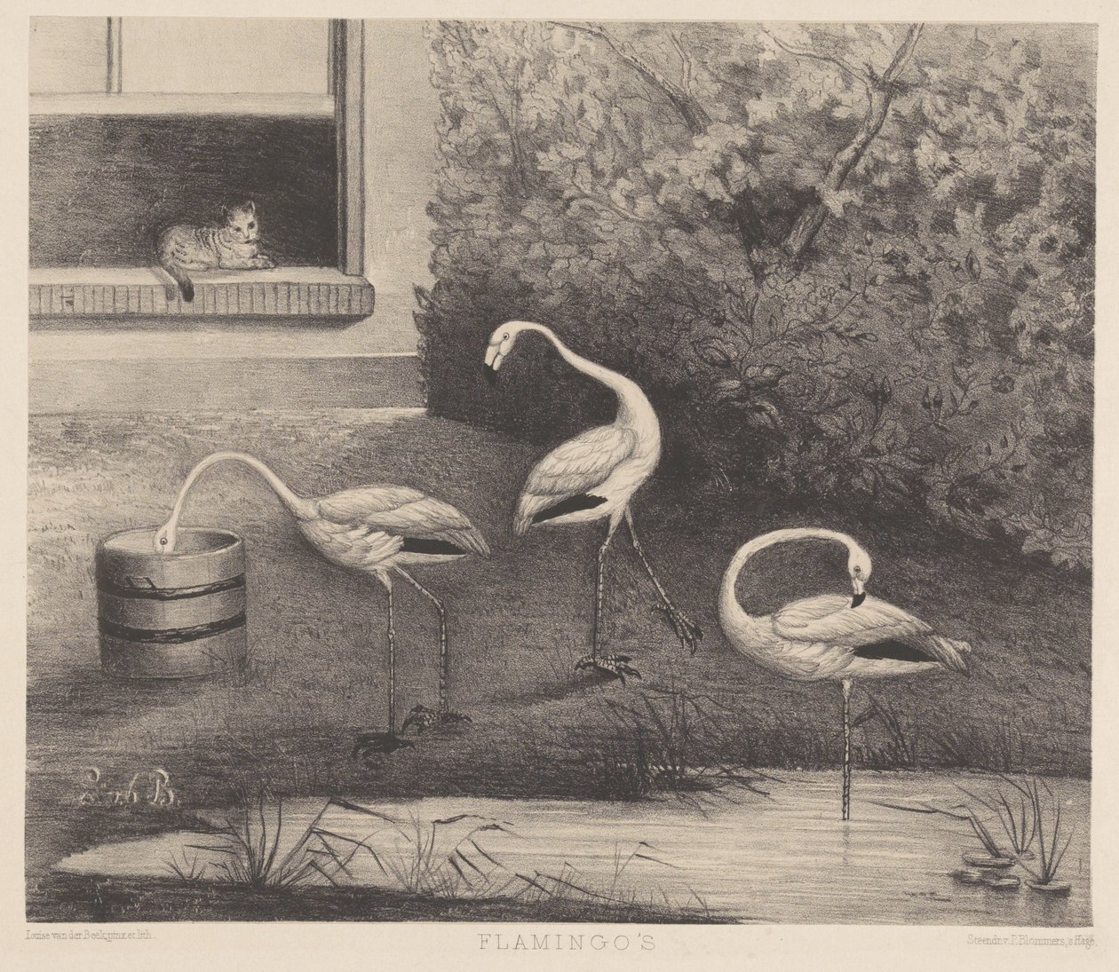 Drei Flamingos und eine Katze von Louise Marie Françoise van der Beek