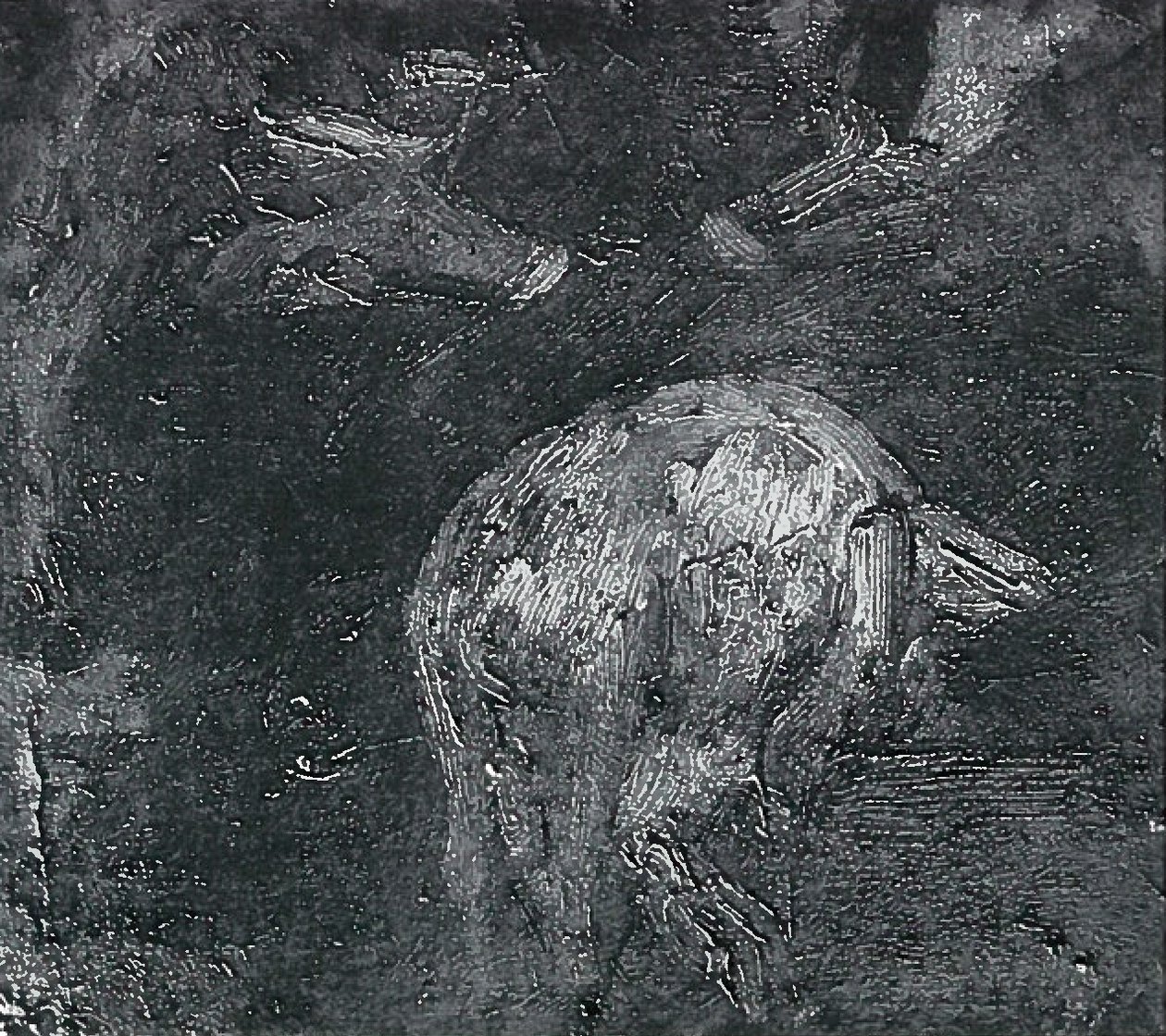 Schweinstudien von Lovis Corinth