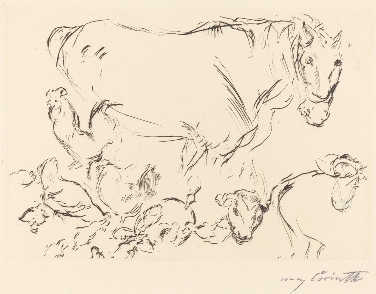 Verschiedene Tierstudien, 1917 von Lovis Corinth