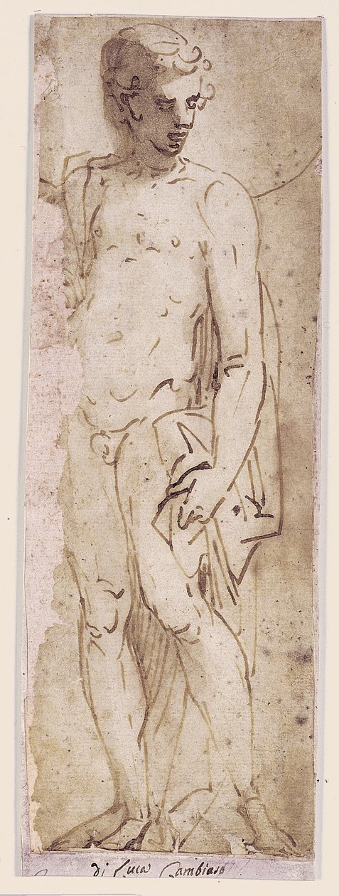 Jugendlicher mit Mantel, stehend in einer Nische von Luca Cambiaso