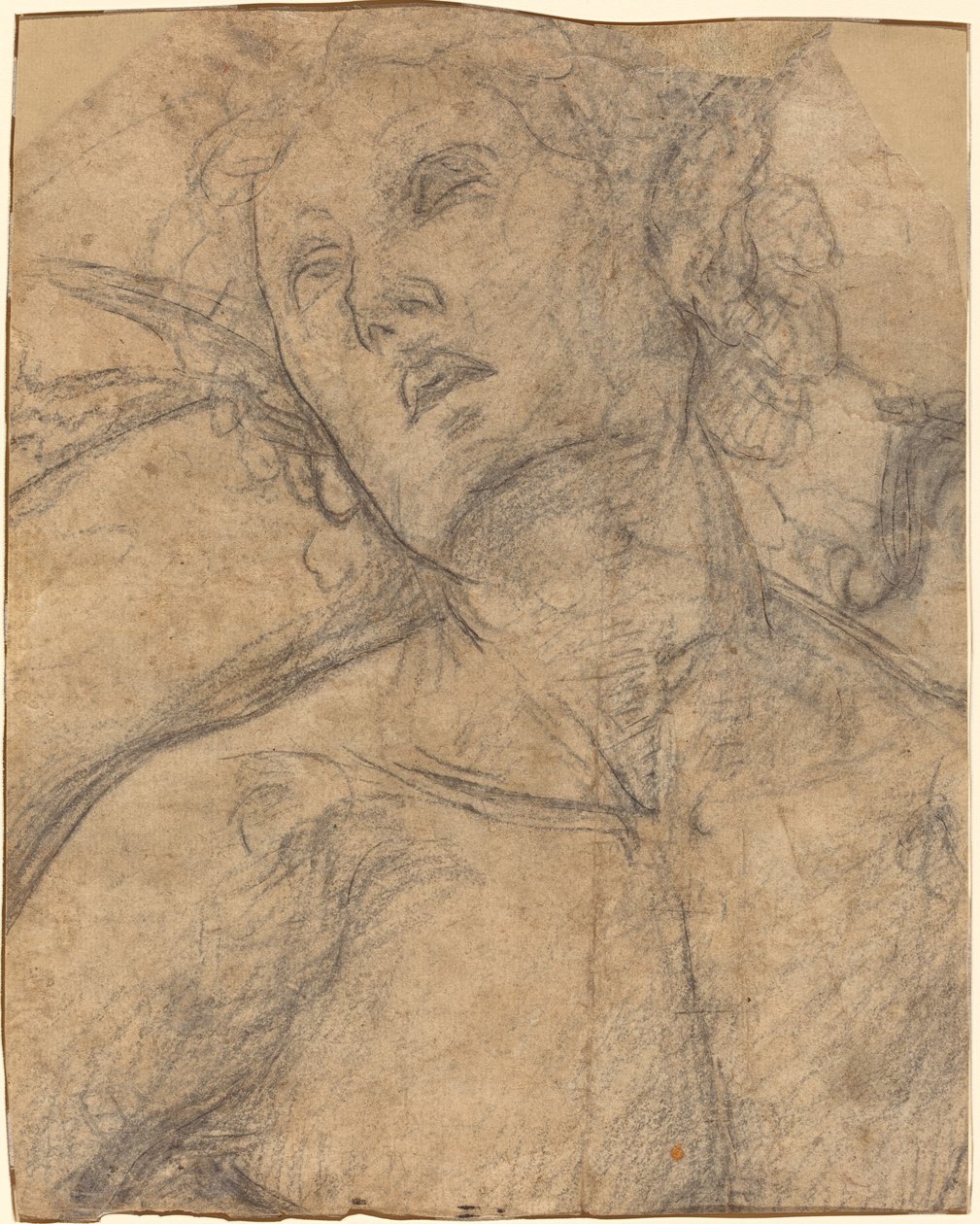 Büste eines nach oben blickenden Jünglings (recto) von Luca Signorelli