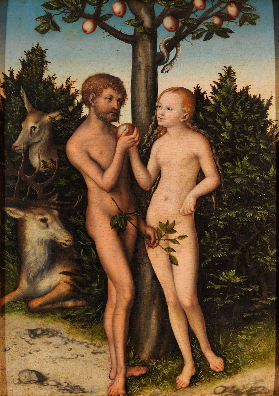 Adam und Eva (Der Sündenfall) von Lucas Cranach the Elder