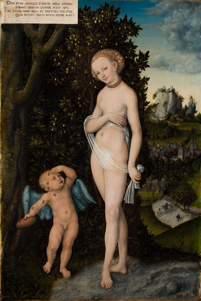 Venus und Amor als Honigdieb von Lucas Cranach the Elder