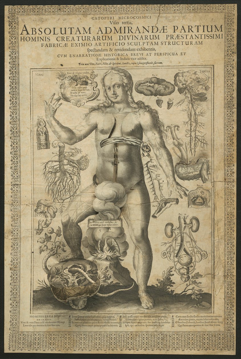 Dritte Vision, aus Spiegel des Mikrokosmos von Lucas Kilian