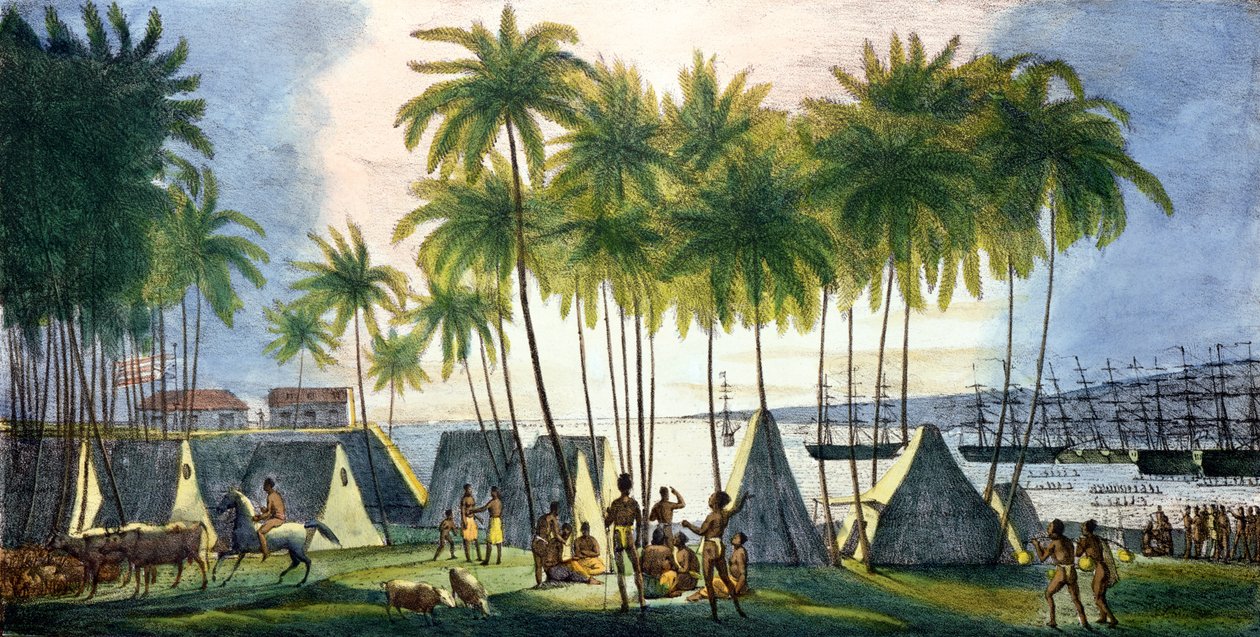 Hafen von Hanarourou auf den Sandwichinseln, aus 