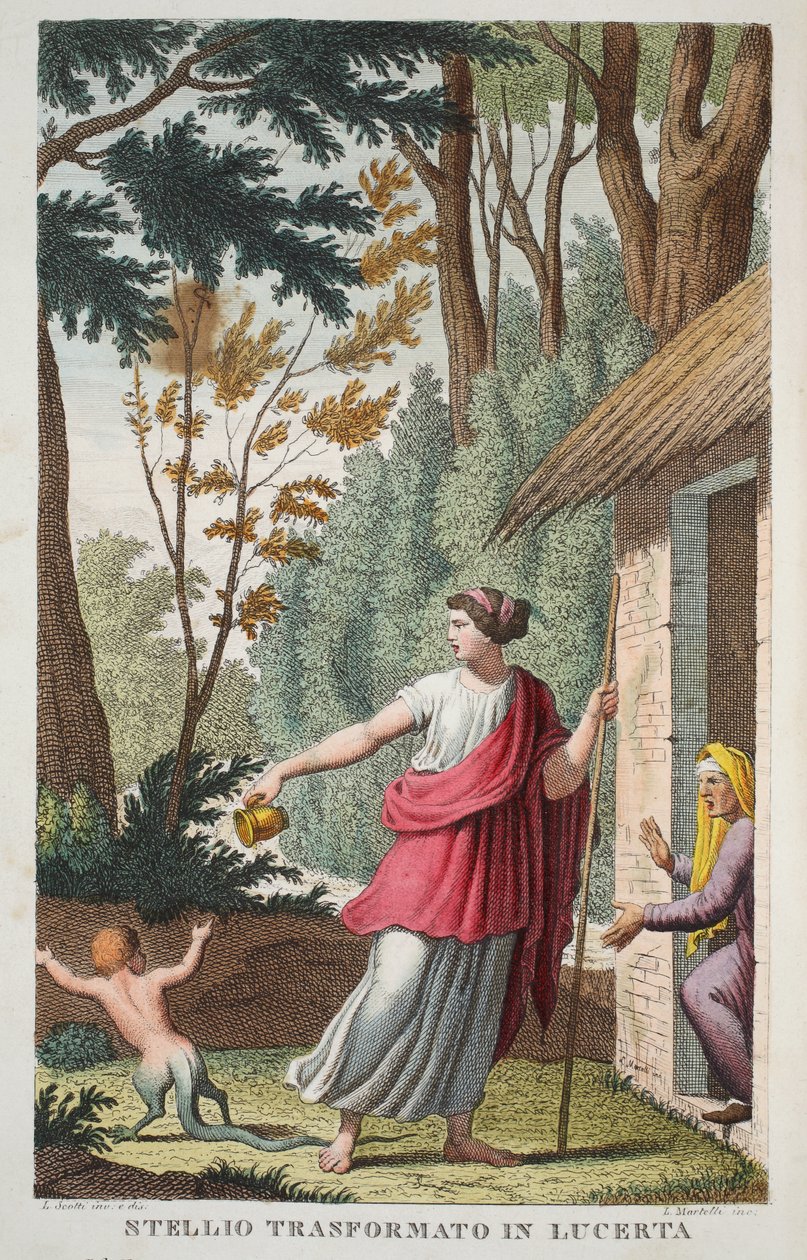 Ein Junge in eine Eidechse verwandelt oder Ntellio Transformato in Lucerta, Buch V, Illustration aus Ovids Metamorphosen, Florenz, 1832 von Luigi Ademollo