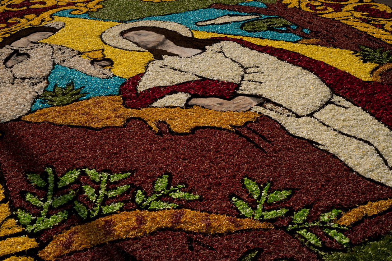 Karwoche Surco Blumenteppich, Lima, Peru, 2015 von Luis Rosendo.