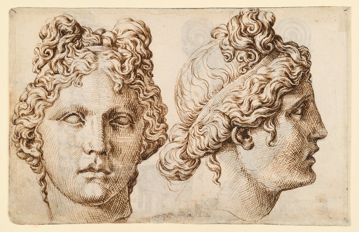 Zwei Ansichten eines antiken Kopfes von Maarten van Heemskerck