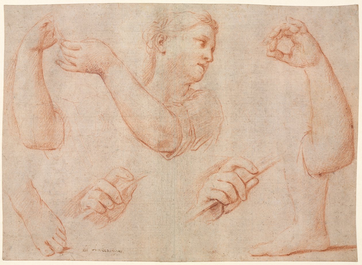 Studie einer jungen Frau, die ein Tamburin spielt, und Studien eines Arms, Hände und Füße (Studien für "Miriam führt den Chor der Frauen, die für die Niederlage des Pharao danken") von Marcantonio Franceschini