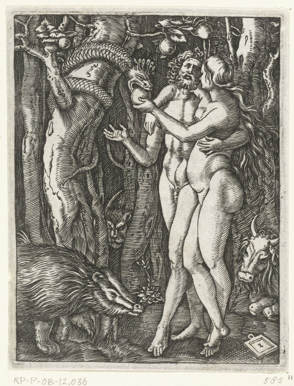 Adam und Eva beim Sündenfall im Paradies von Marcantonio Raimondi
