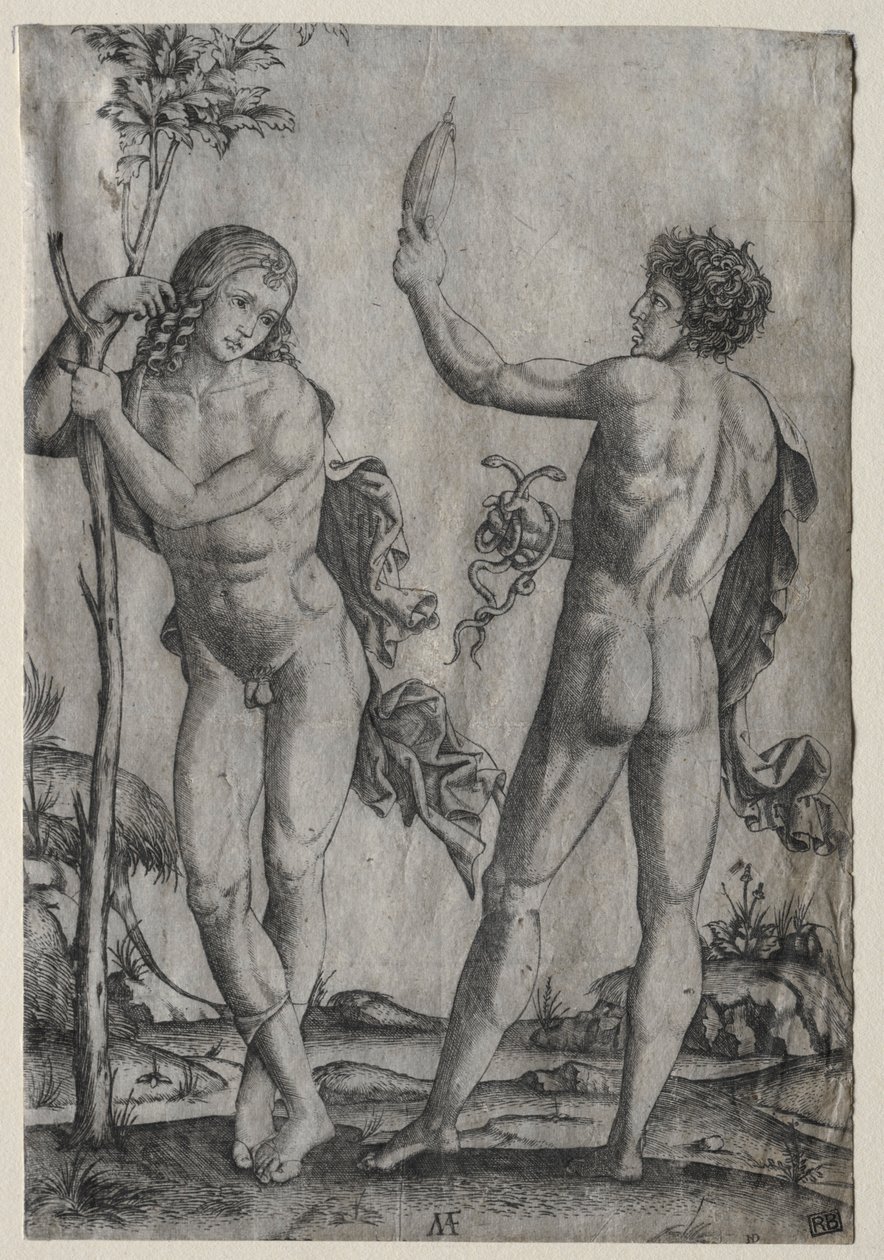 Zwei nackte Männer neben einem Baum von Marcantonio Raimondi
