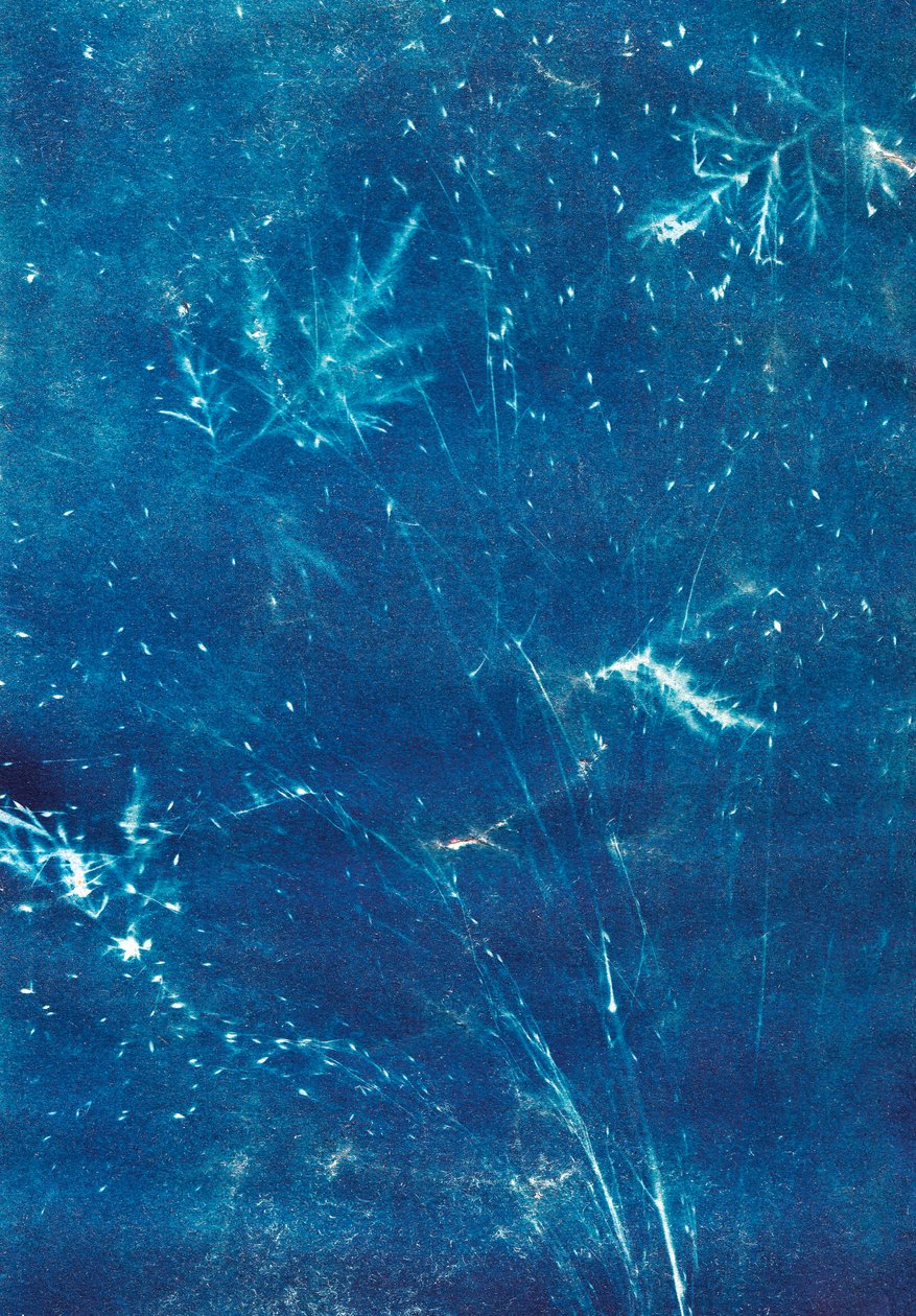 Ohne Titel von Marco Campedelli