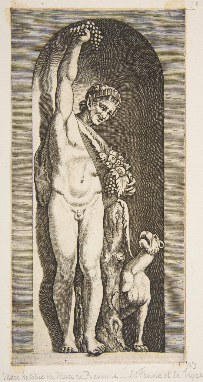 Ein Faun, der in einer Nische steht und eine Traube hochhält von Marco Dente