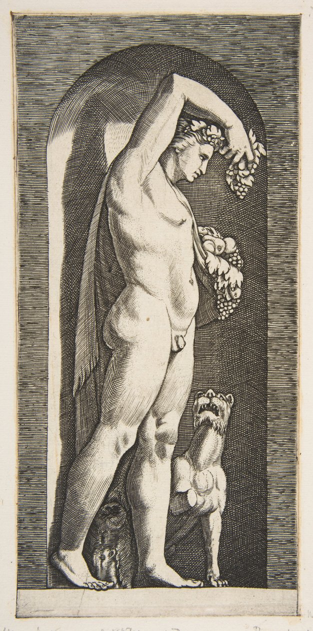 Bacchus steht in einer Nische und hält Trauben in seiner erhobenen rechten Hand, Früchte in seiner linken, ca. 1515-27 von Marco Dente