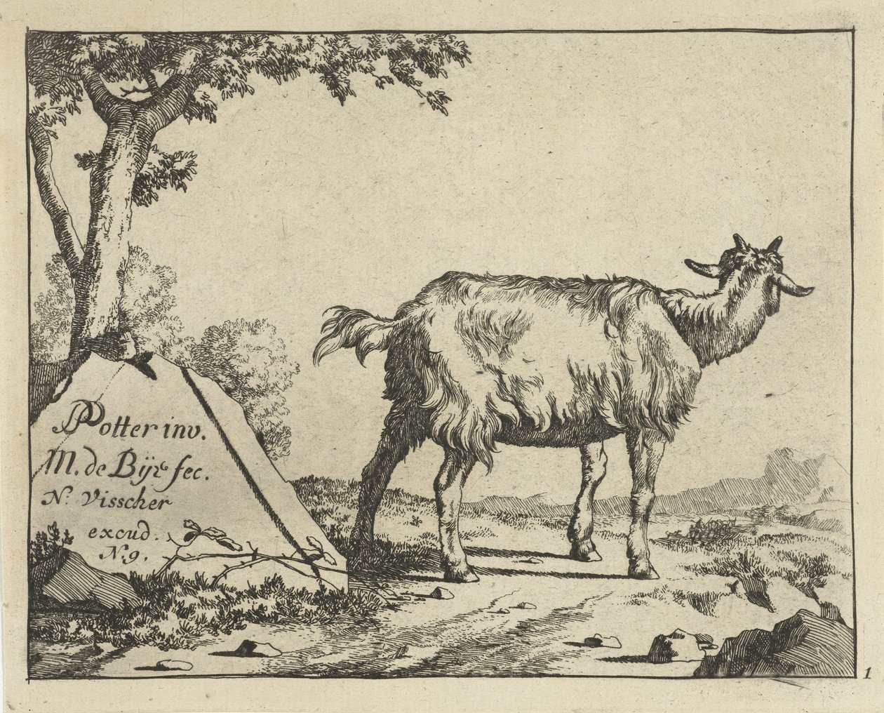 Stehende Ziege von hinten gesehen von Marcus de Bye