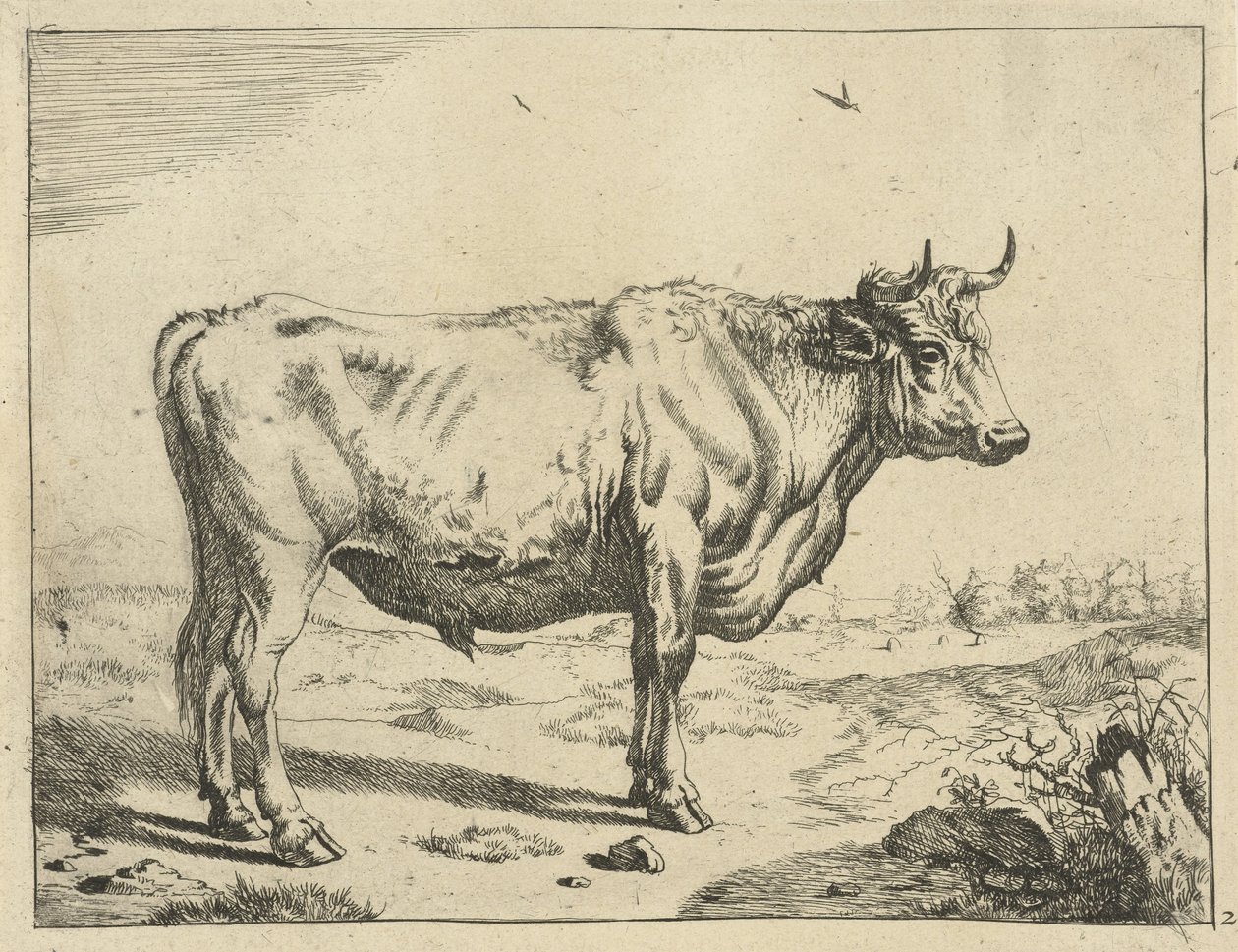 Stier, nach rechts stehend, mit Vögeln von Marcus de Bye